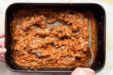 Duck ragu